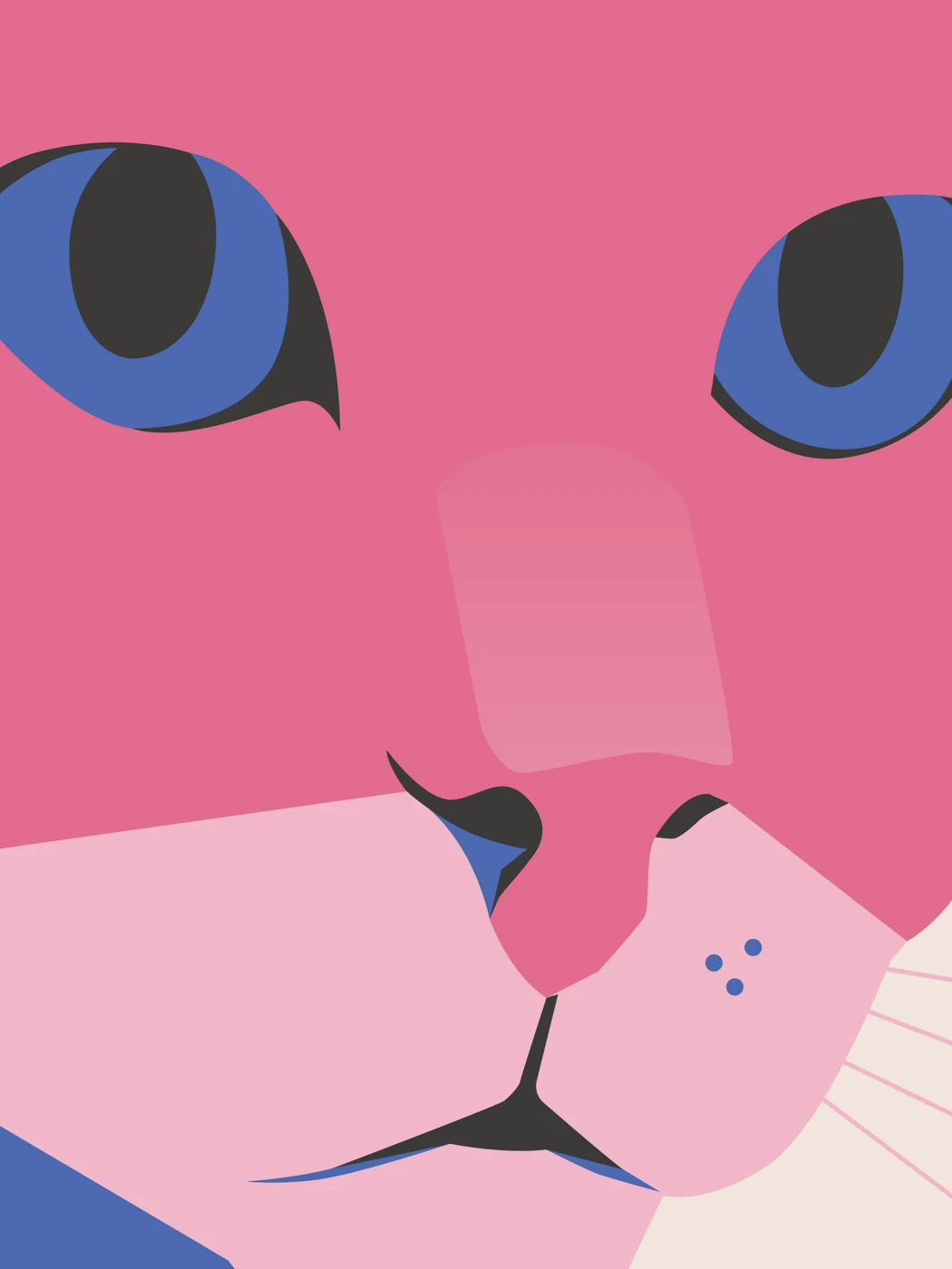 Pink Cat – Motivansicht