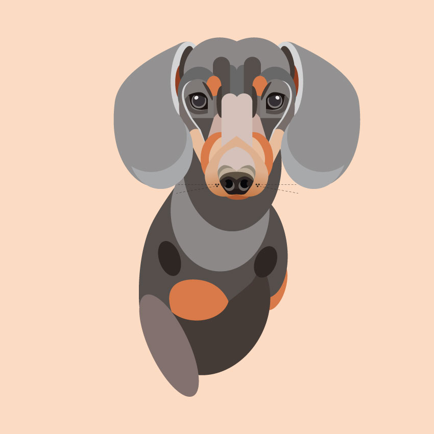 Geometrischer Dackel